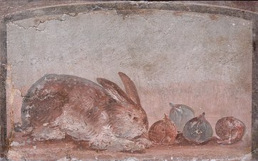 Fresco showing a rabbit nibbling at figs  AD 1–79  From Pompeii, (unknown House) c. Museo Archeologico Nazionale di Napoli