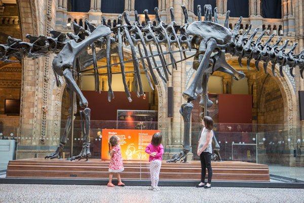 Dippy, courtesy of the Natural History Museum, London