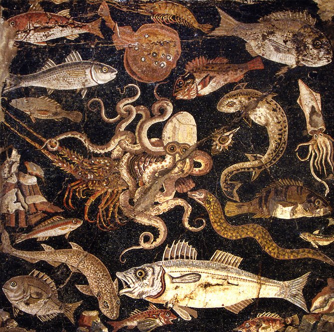 Section of a mosaic panel (emblema) showing sea creatures  c.100 BC From Pompeii, House of the Geometric Mosaics  c. Museo Archeologico Nazionale di Napoli