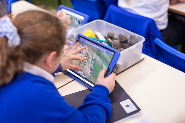 A photograph of a primary school child. She is sitting at a desk holding an ipad in a blue case. She is using her fingers to touch an image of a tiger. The image is from a painting called 'Surprised' by  Rousseau. She is wearing a blue jumper and has her hair in a ponytail.