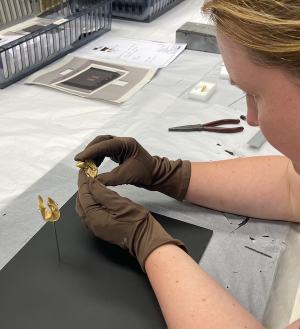 Photograph of a museum worker they are wearing brown conservation gloves and holding a gold ring that is damaged. They are carefully mounting it on a small thin museum moount.
