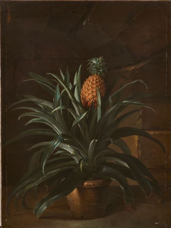 A painting of a pinapple plant in a terracotta pot. It has lots of green shiny leaves and one yellow/orange pinapple growing out of the top.